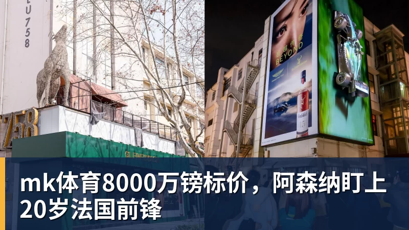 mk体育8000万镑标价，阿森纳盯上20岁法国前锋