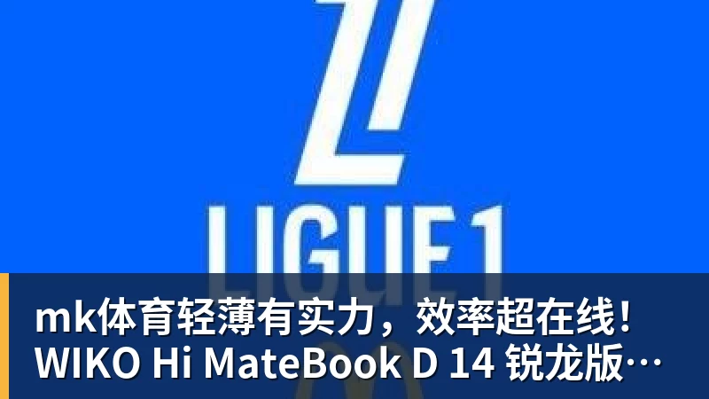mk体育轻薄有实力，效率超在线！WIKO Hi MateBook D 14 锐龙版正式开售